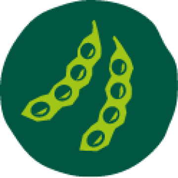 regeneration-icon