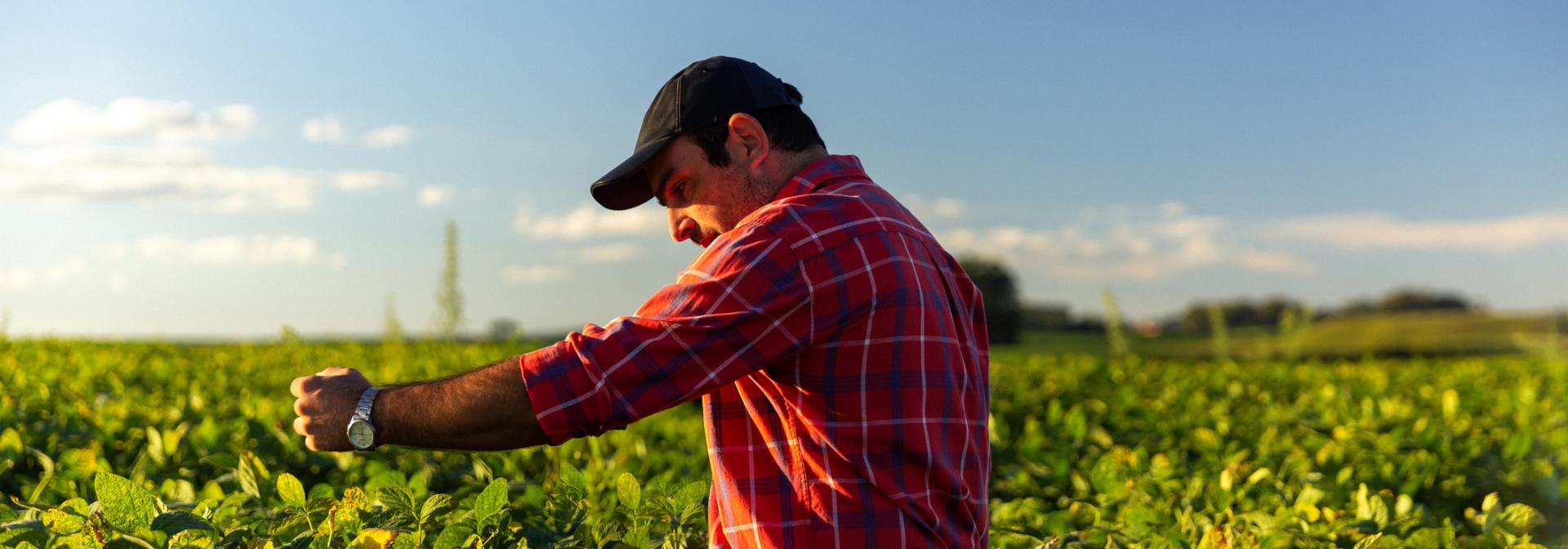 Planten zorgt voor een betere toekomst